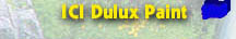 ICI Dulux Paint